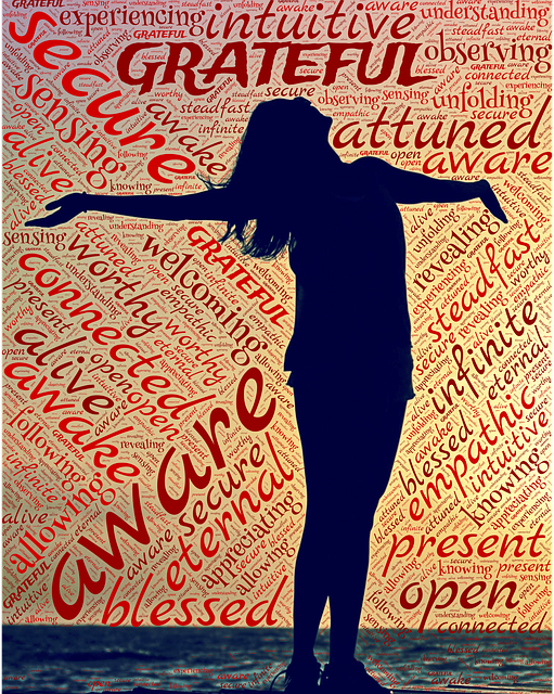 gratitude attitude - silhouette of woman surrounded by mindful, gratitude words