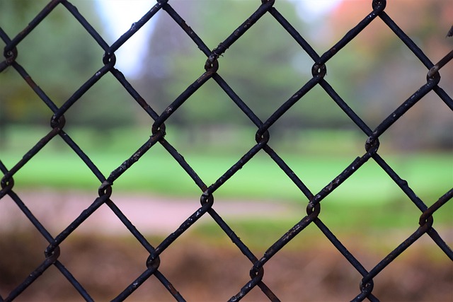 chain link fence - creating healthy boundaries