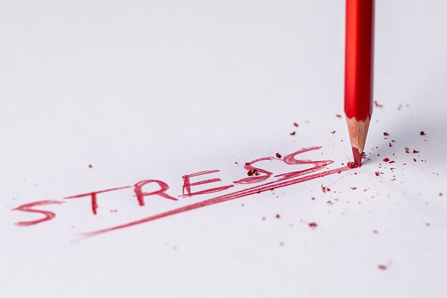 the word stress written in red pencil