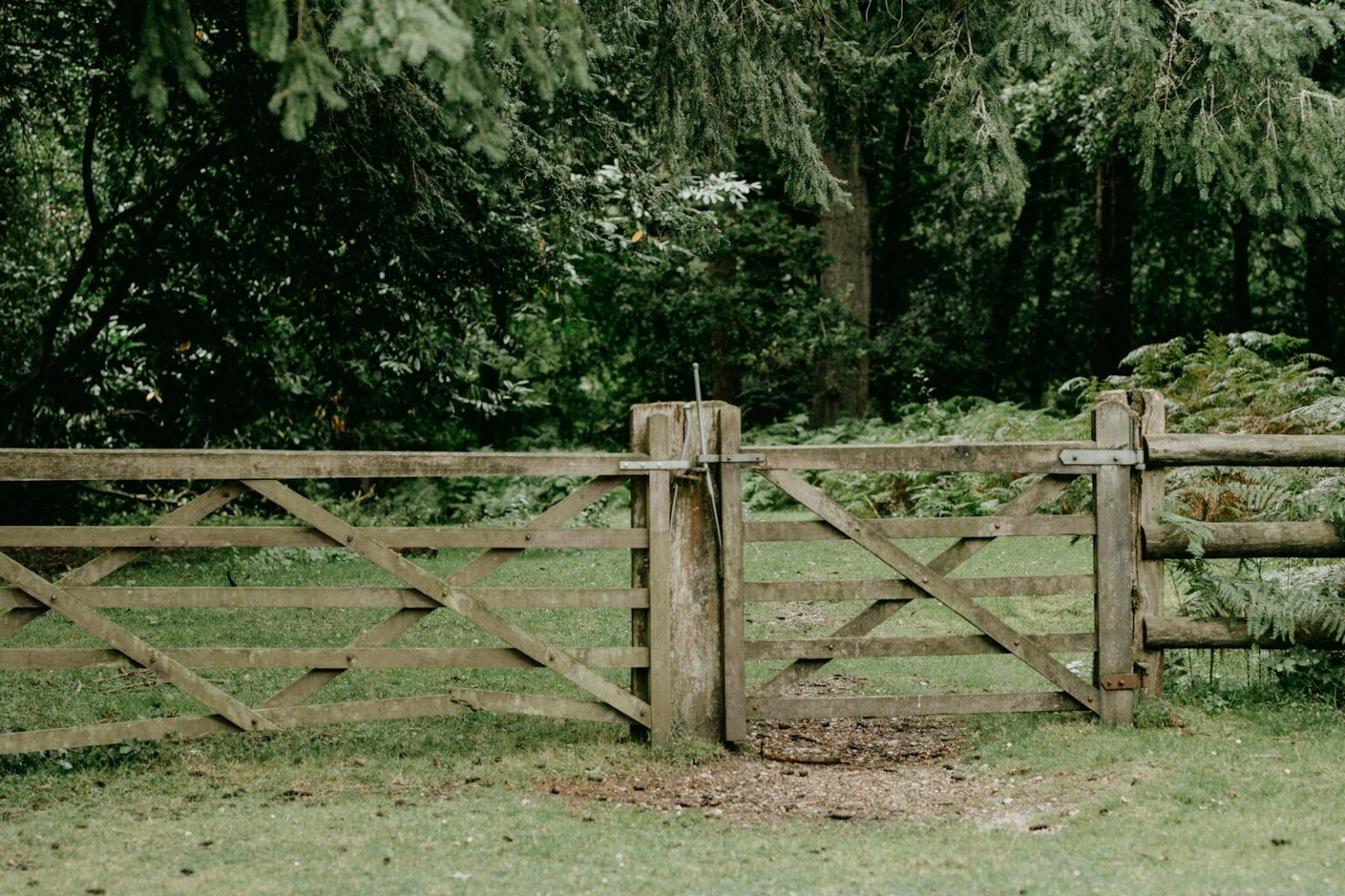 Setting Boundaries: Protecting Against Rejection Sensitivity Triggers ...