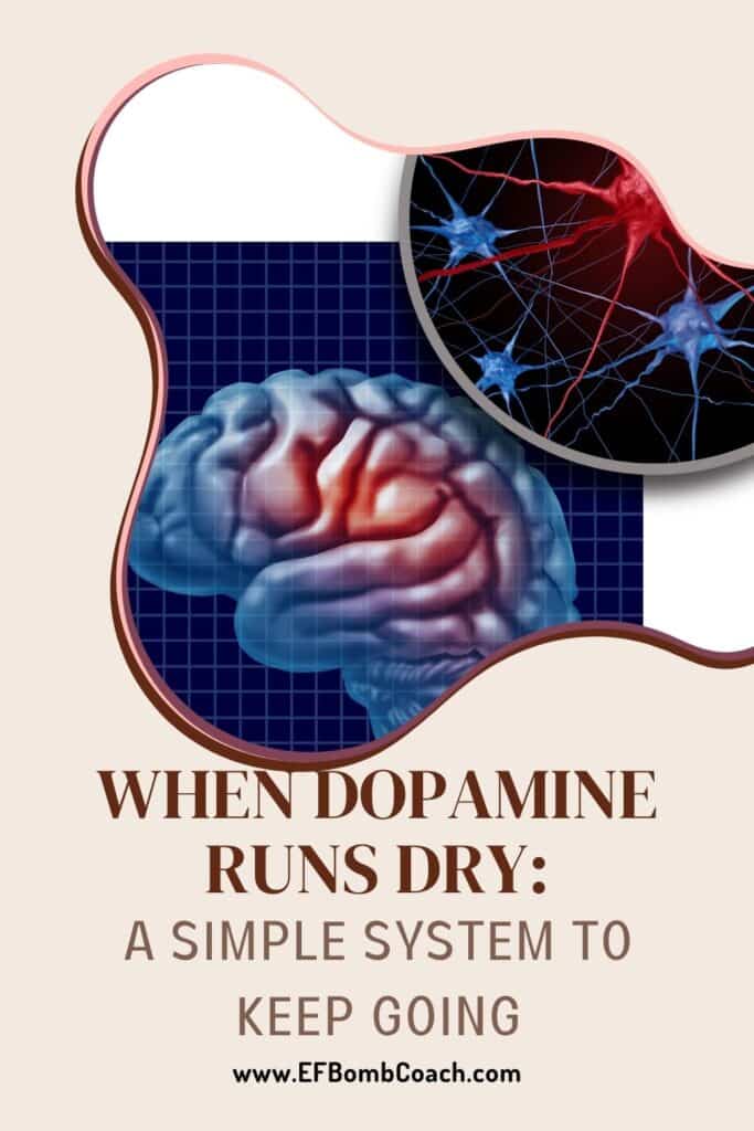 When Dopamine Runs Dry: A Simple System to Keep Going - a brain with colored spots