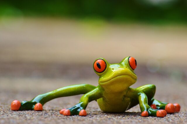 frog, fun, figure, cute, nature, animal, green, frog eyes, lurk